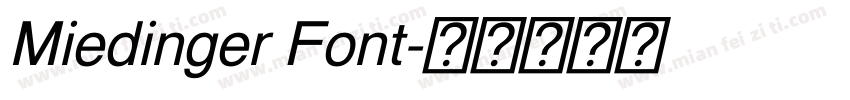 Miedinger Font字体转换